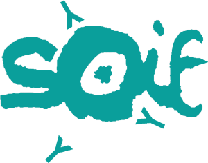 logo for Society for Ophthalmo-Immunoinfectiology in Europe