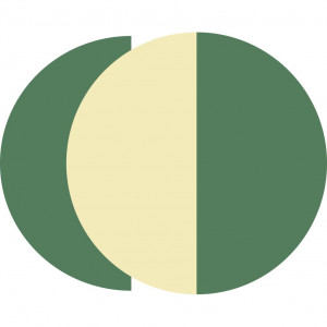 logo for Martin Ennals Foundation