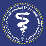 logo for Association for Small Animal Endoscopy and Endosurgery