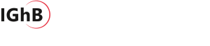 logo for Internationale Gesellschaft heilpädagogischer Berufs- und Fachverbände