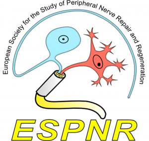 logo for European Society for the Study of Peripheral Nerve Repair and Regeneration