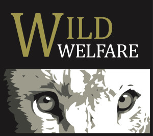 logo for Wild Welfare