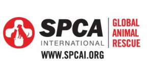 logo for SPCA International