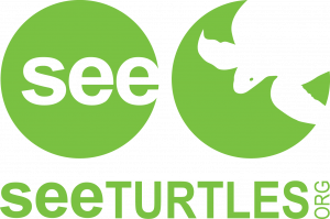 logo for SEE Turtles