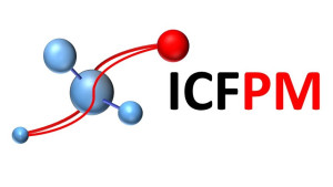 logo for International Conference on Fine Particle Magnetism