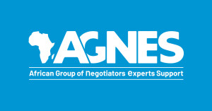 logo for African Group of Negotiators Experts Support