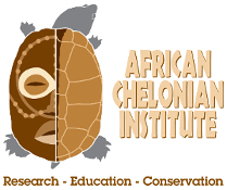 logo for African Chelonian Institute