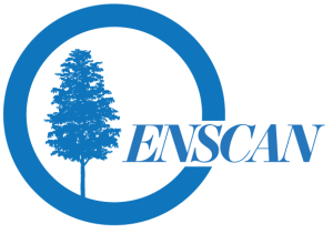 logo for Ecocritical Network for Scandinavian Studies