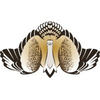 logo for International Fund for Houbara Conservation