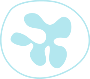 logo for International Neutrophil Symposium
