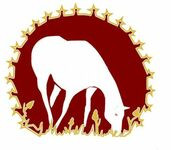 logo for European Workshop on Equine Nutrition Association