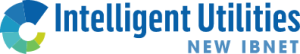 logo for New International Benchmarking Network for Water and Sanitation Services