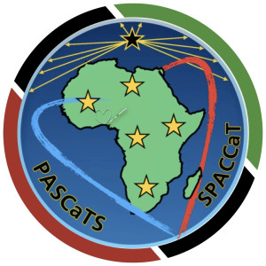 logo for Pan African Society for Cardiothoracic Surgery