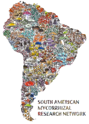 logo for South American Mycorrhizal Research Network
