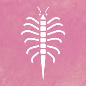 logo for International Artemia Aquaculture Consortium