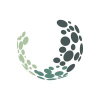 logo for World Intangible Cultural Heritage Protection & Development Foundation