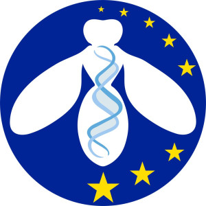 logo for European Drosophila Society