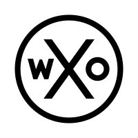 logo for World Experience Organization