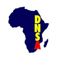 logo for DNS Africa Media and Communications