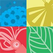 logo for Catalogue of Life
