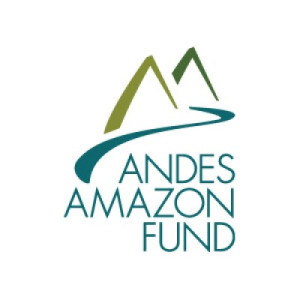 logo for Andes Amazon Fund