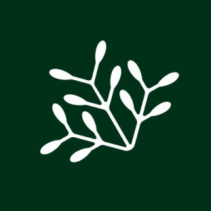 logo for Business for Nature