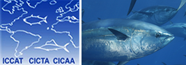 logo for International Commission for the Conservation of Atlantic Tunas
