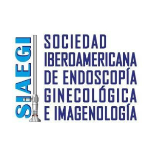 logo for Ibero-American Society of Gynecological Endoscopy and Images