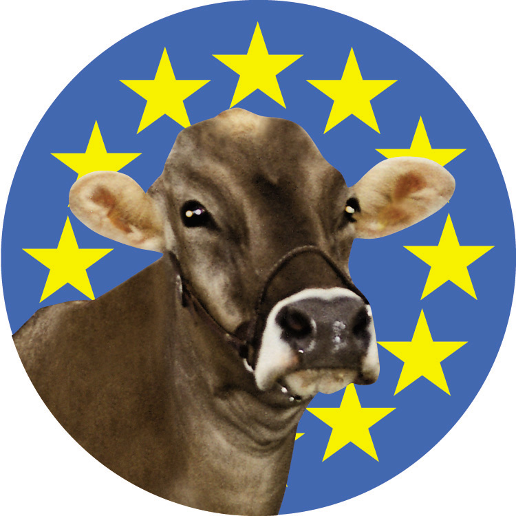 logo for European Brown Swiss Federation