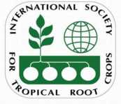 logo for International Society for Tropical Root Crops