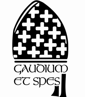 logo for Inter-Regional Meeting of Bishops of Southern Africa