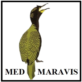 logo for Mediterranean Marine Bird Association