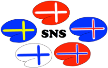 logo for Scandinavian Neurosurgical Society