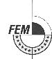 logo for Female Europeans of Medium and Small Enterprises