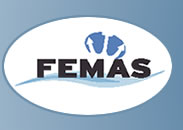 logo for Federation of European Maritime Associations of Surveyors and Consultants