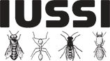 logo for International Union for the Study of Social Insects