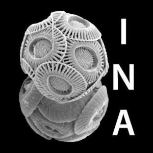 logo for International Nannoplankton Association