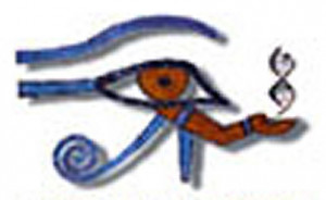 logo for International Society for Genetic Eye Diseases and Retinoblastoma