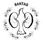 logo for Balkan Cities Association of Nephrology, Dialysis, Transplantation and Artificial Organs