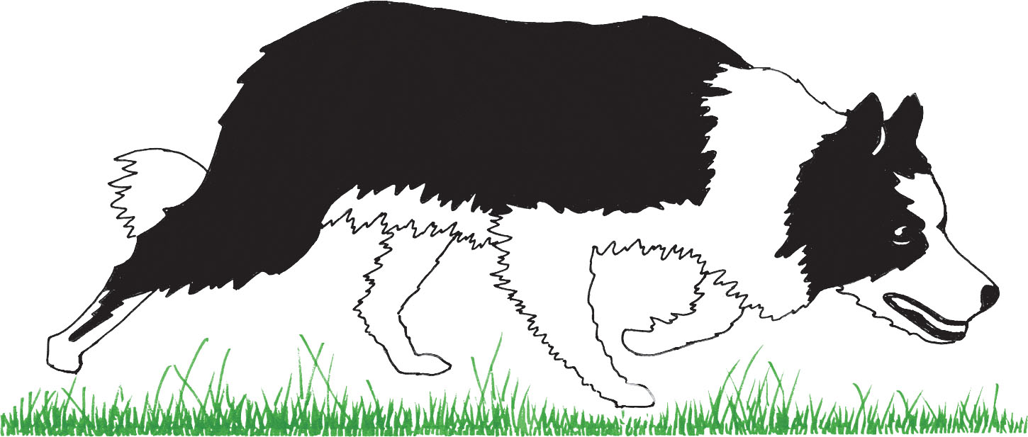 logo for International Sheep Dog Society