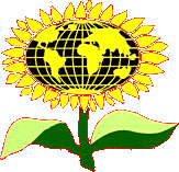 logo for International Sunflower Association