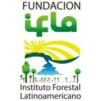 logo for Latin American Forestry Institute