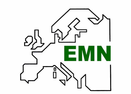logo for Euro-Academy of Multidisciplinary Neurotraumatology