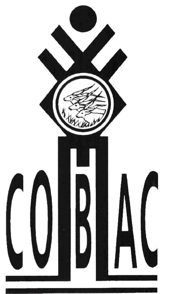 logo for Commission bancaire de l'Afrique centrale