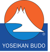 logo for World Yoseikan Federation