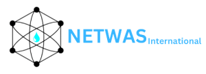 logo for Network for Water and Sanitation International