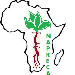 logo for Natural Products Research Network for Eastern and Central Africa