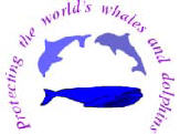 logo for European Network for Dolphins