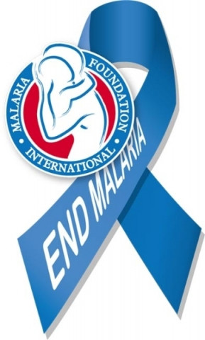logo for Malaria Foundation International