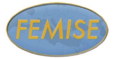 logo for Femise Network